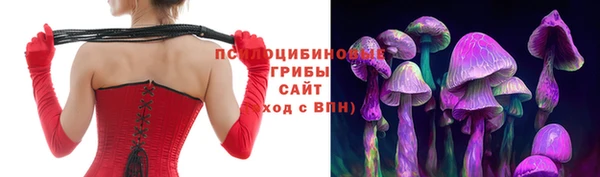 apvp Каменногорск
