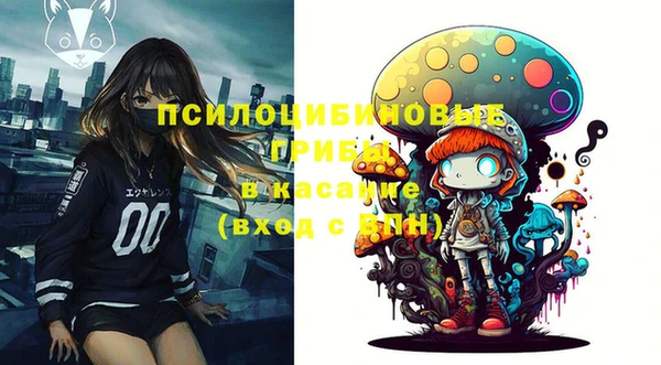 бошки Каменск-Шахтинский