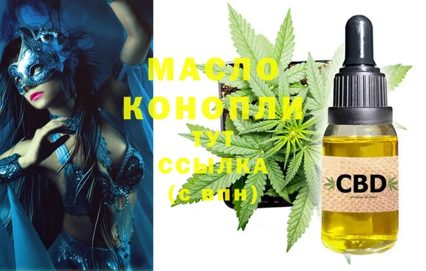 apvp Каменногорск