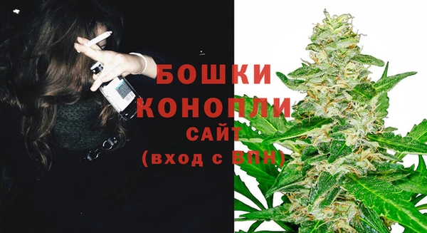 прущая мука Каменка