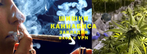 прущая мука Каменка