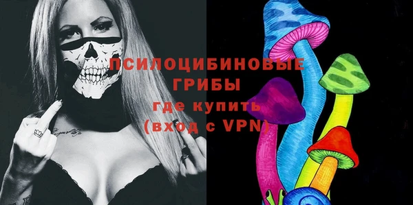 apvp Каменногорск