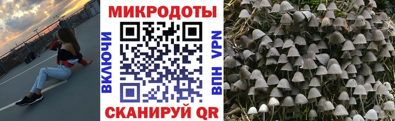 Галлюциногенные грибы Cubensis Купить где Изобильный