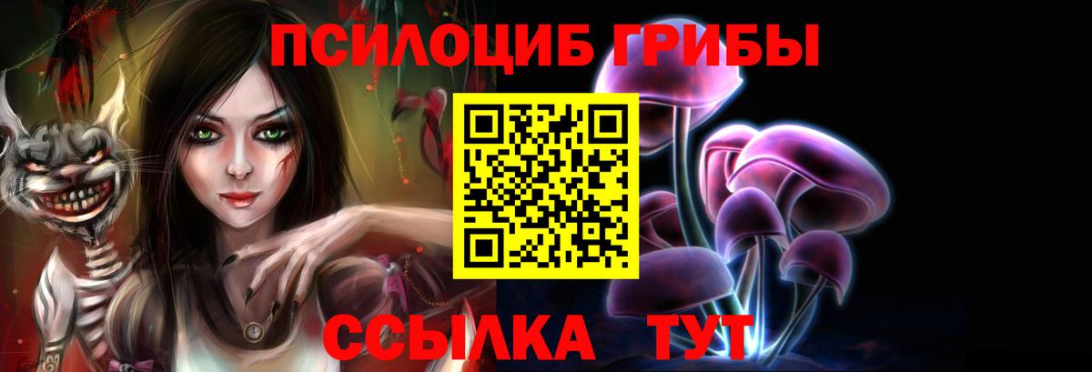 Псилоцибиновые грибы мицелий Изобильный
